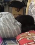 Nonton Pacar Ngantuk Dientod 2020