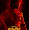 Saripodhaa Sanivaaram (2024) Sub Indo