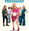 Film Sub Indo Kinda Pregnant (2025)